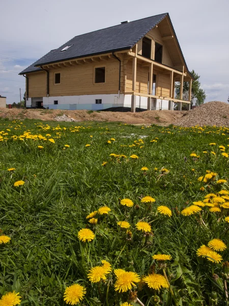 Строительство деревянного дома и жёлтые одуванчики на лугу Лицензионные Стоковые Фото