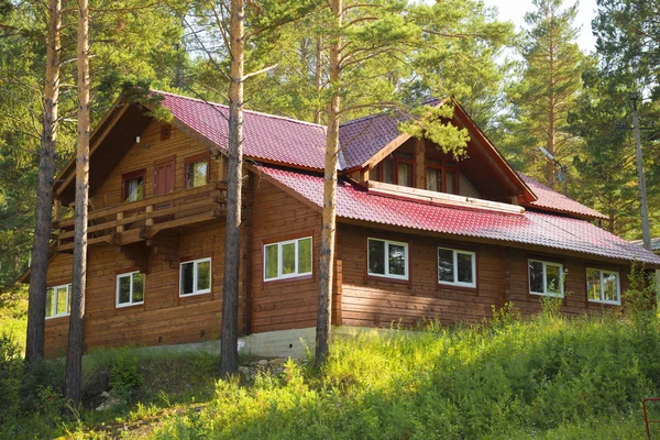 Дом в лесу. Норвегия Стоковая Картинка